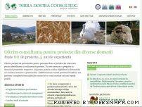 Consultanta pentru proiecte