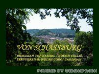 Romanian top collie kennel