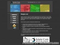 Firma curatenie - Ariete Com
