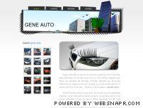 Gene auto pentru faruri