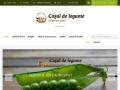 Cosul de legume