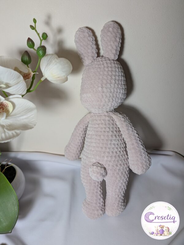 PXL_20260311_083259391 Iepuras crosetat