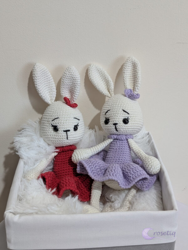 iepure_1_v1 Iepuras crosetat