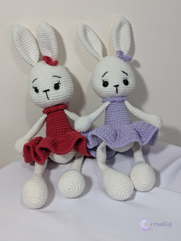 iepure_2_1 Iepuras crosetat